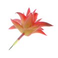 thumbnail image 5 of de Carnosa Aloe Artificial Plástico Decoración Patio Roja, 5 of 5