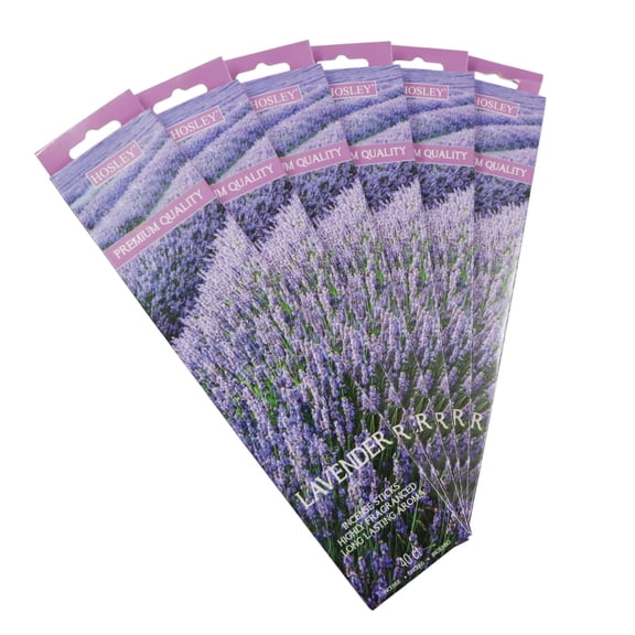 HOSLEY Specialty Aromatherapy Series Lavender Incense Stick, Purple, 240 Count