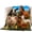 Multicolor, variant on Farmhouse Quilted Comforters Cooling Blanket Queen Size, Cow Horse Rabbit Pig Sheep Red Barn Rustic Cold Comfort for Hot Sleepers Lightweight Air Conditioning Quilt Blanket for Bed
