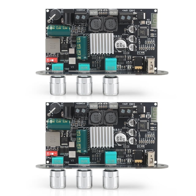 Placa amplificadora mono Wuzhi Audio ZK-1001U de 100 W con TWS 9-24 V