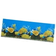 thumbnail image 1 of Unique Bargains Aquarium Fish Tank Background Poster Double-sided Fish Tank Background Decor Sticker 11.81'x32.28', 1 of 7