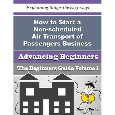 Passengers Guide - How to Start a Non-scheduled Air Transport of Passengers Business (Beginners Guide) - eBook