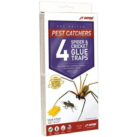 TRAP GLUE SPIDER & CRICKET 4PK (Best Brown Recluse Spider Traps)