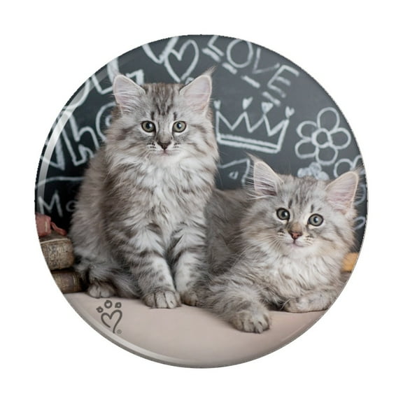 Siberian Tabby Kittens Cats School Chalkboard Learning Kitchen Refrigerator Locker Button Magnet