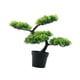thumbnail image 4 of Bonsái artificial compacto, planta artificial en maceta para escritorio, mesa, entrada del hogar Verde claro, 4 of 9