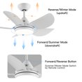 thumbnail image 3 of Wellspeed 30 in. Indoor Matte White Small Ceiling Fan Light with LED Kit, 5 Blades, Remote Control, 3 of 15
