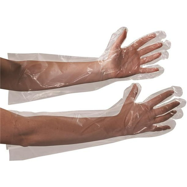 Box Partners GLV2221 Clear Poly Gloves 18 in. Elbow Length Case of