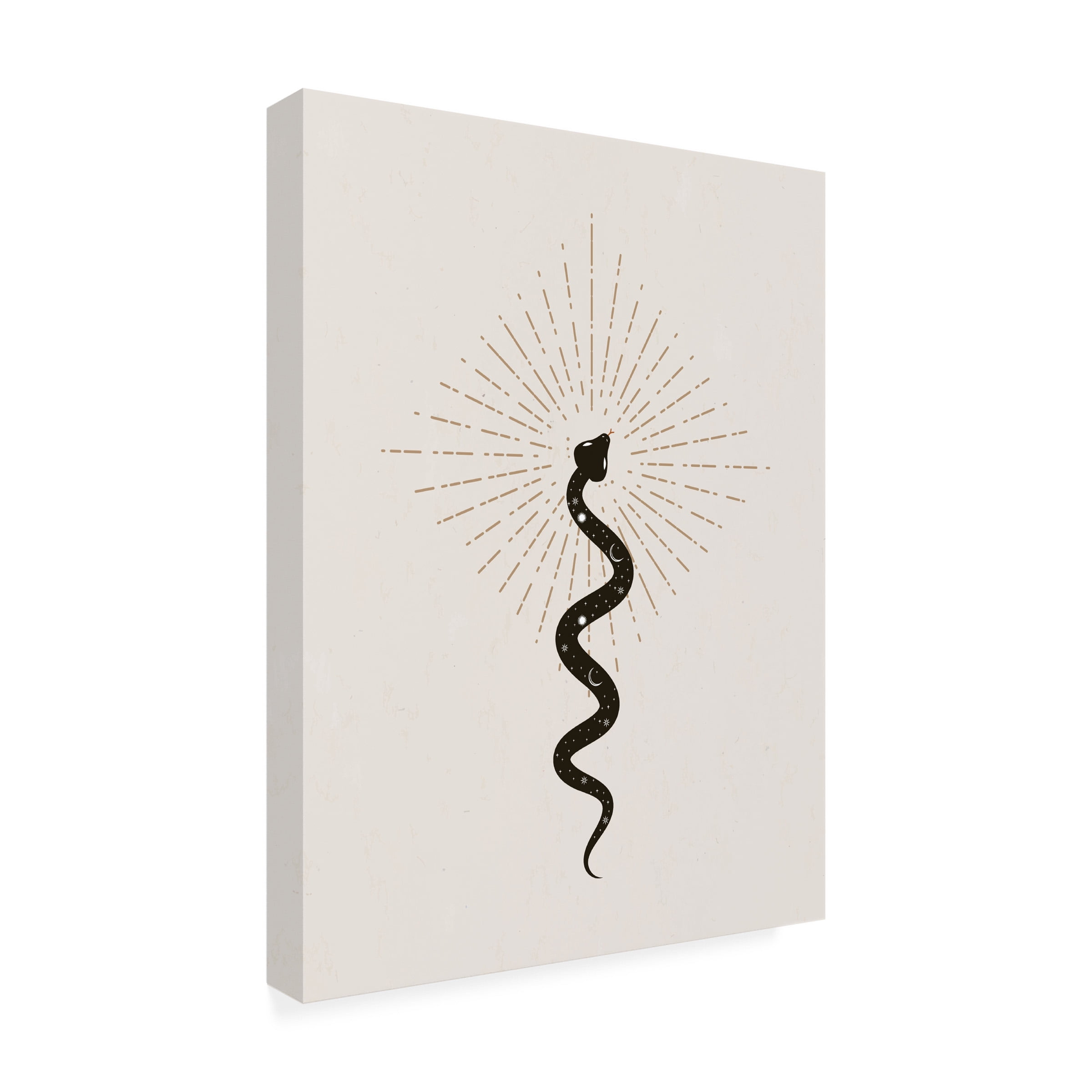 Beth Cai 'Spirit Serpent' Canvas Art