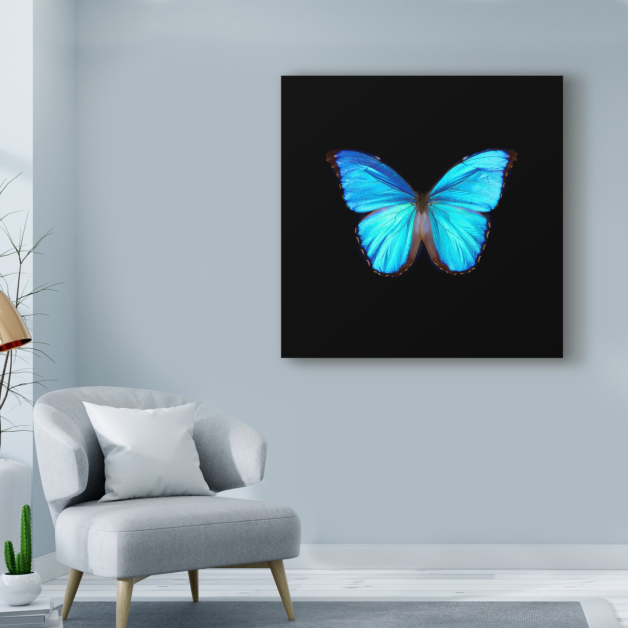 Trademark Fine Art 'Blue Butterfly On Black' Canvas Art by Tom Quartermaine