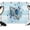 LightBLue, variant on 7x5ft Photo Backdrop, Nautical Coastal Soft Polyester Backdrop Curtains Photography Backdrops, Summer Ocean Conch Flower Gray Wooden Brushed Background for Photoshoots Studio Video Portrait Parties