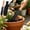 F, variant on Multi Function Wooden Handle Garden Trowel with Storage Sheath, Black Coated Stainless Steel Digging Weeding Knife for Planting Transplanting Yard Gardening Work