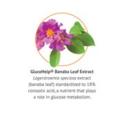 Botanic Choice GlucoHelp (Banaba Extract) Blood Sugar Dietary Supplement, 60 Capsules
