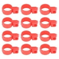 thumbnail image 4 of Poulet 100Pcs Poulet Bandes de Pattes Boucle Conception Installation Facile Matériel TPU Poulet Bandes d'Identification, 4 of 8