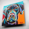 thumbnail image 4 of Epic Art 'Dog Friend II' by Carolee Vitaletti, Acrylic Glass Wall Art, 12"x12", 4 of 8