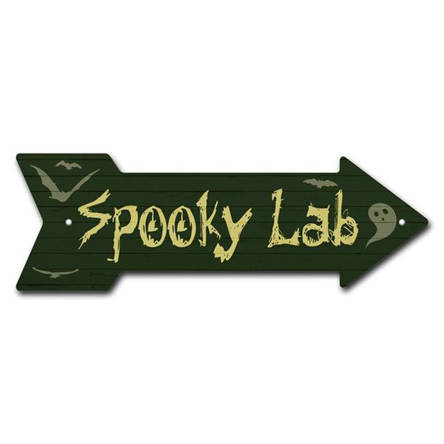 SignMission P-ARROW10-999597 10 x 30 Po Signe Flèche de Laboratoire Effrayant Large