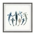 thumbnail image 2 of Marmont Hill Shark Types Framed Painting Print, 2 of 4