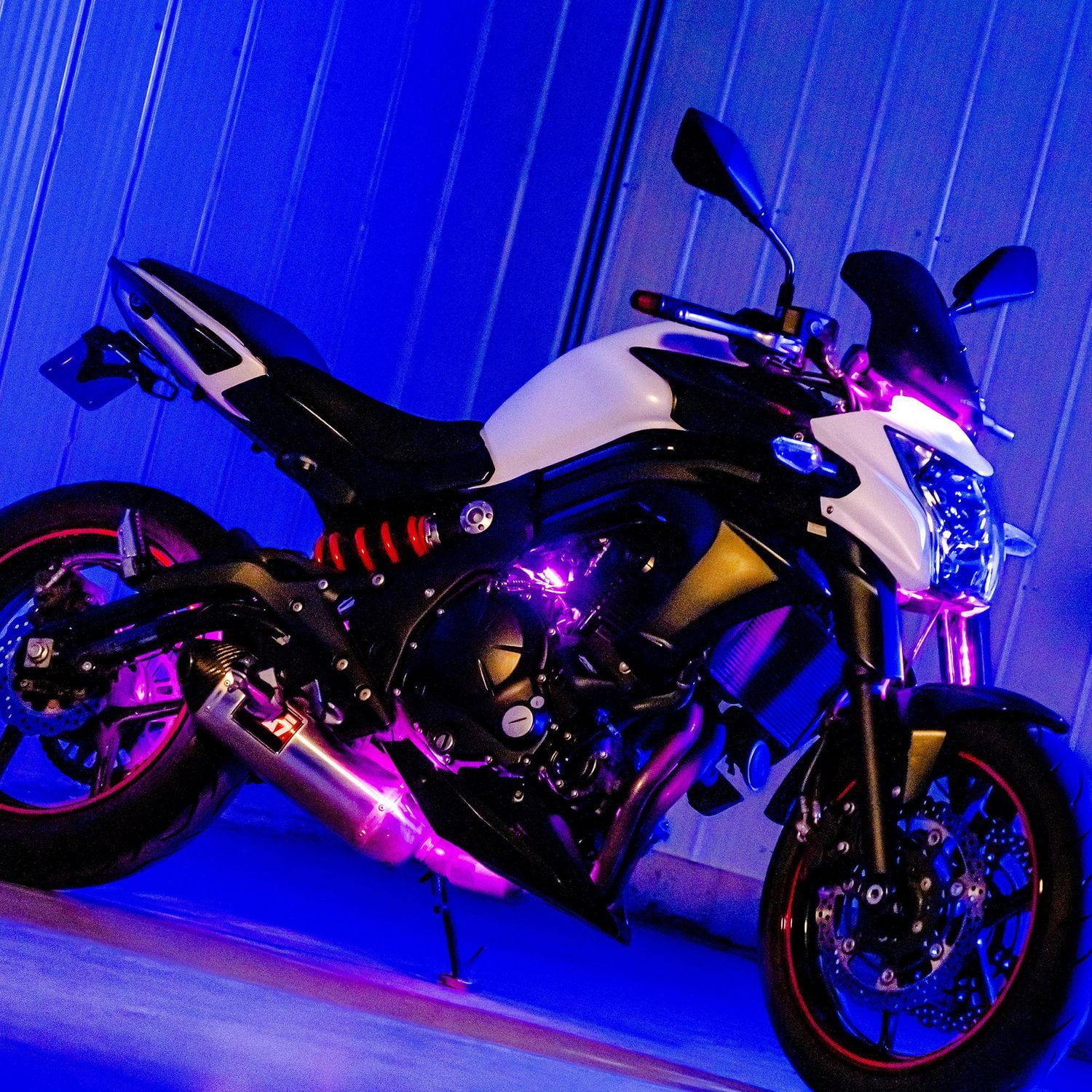 Bandes lumineuses à DEL MotorLED Flow d’Alpena