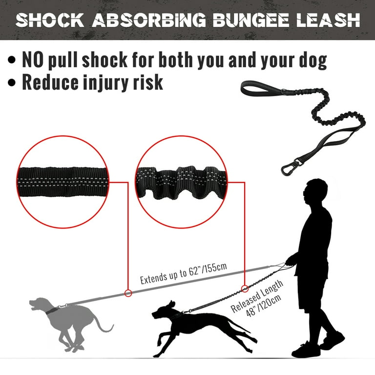 Dog resisting clearance leash