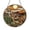 Acrylic 3.5 Inch, variant on Coyote in Desert Stained Glass Style Suncatcher Window Hanging Decor, Round Wolf and Cactus Landscape Glass Window Panel Art, Decorative Desert Wildlife Window Ornament for Home