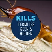 BioAdvanced Termite & Carpenter Bee Killer Plus, Foam Spray, 18 oz Plus kills ants, wood-infesting beetles and other listed insects