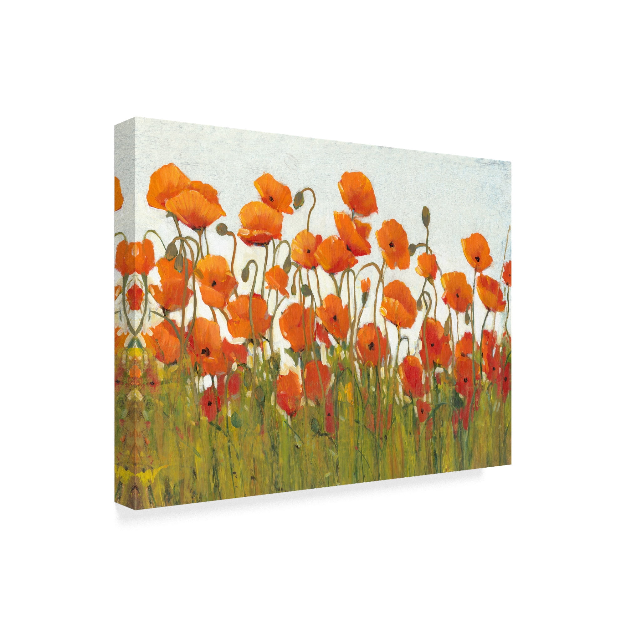 Trademark Fine Art Floral Canvas Art ' Rows Of Poppies Ii ' by Tim OToole