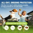 Curated visual reference: Fresh Look at Ecovenger Flea And Tick Collar Natural Plant Based Formula Waterproof