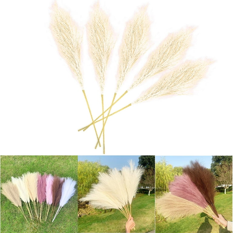Artificial Pampas Grass,5 Pcs Faux Reed Plumes Reed Feathers for Home Bouquet Decor and Vase Fillings, Men's, Size: 70 cm, Beige