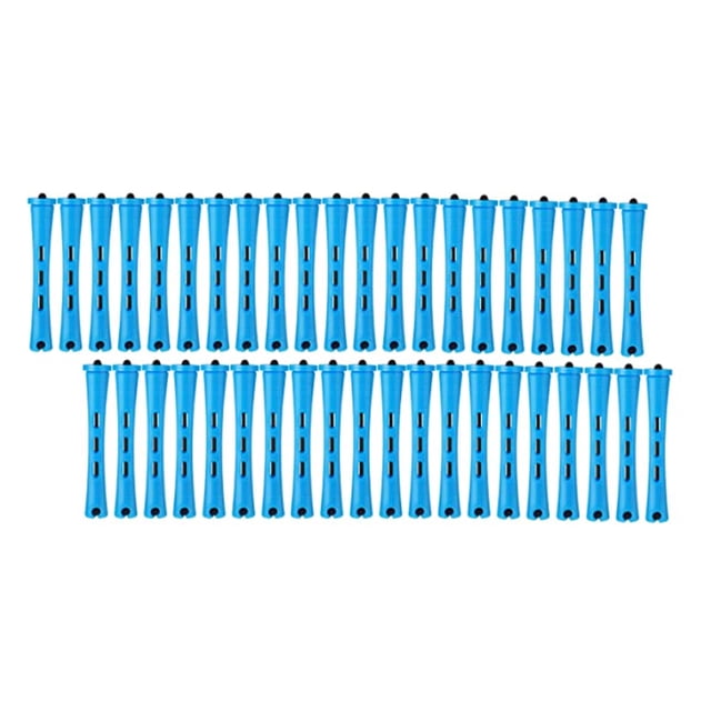 fastboy Lot de 60 Tringles à Cheveux Longues et Courtes pour Femmes, Rouleaux Portables pour Coiffure de Voyage, Type 0 1Ensemble