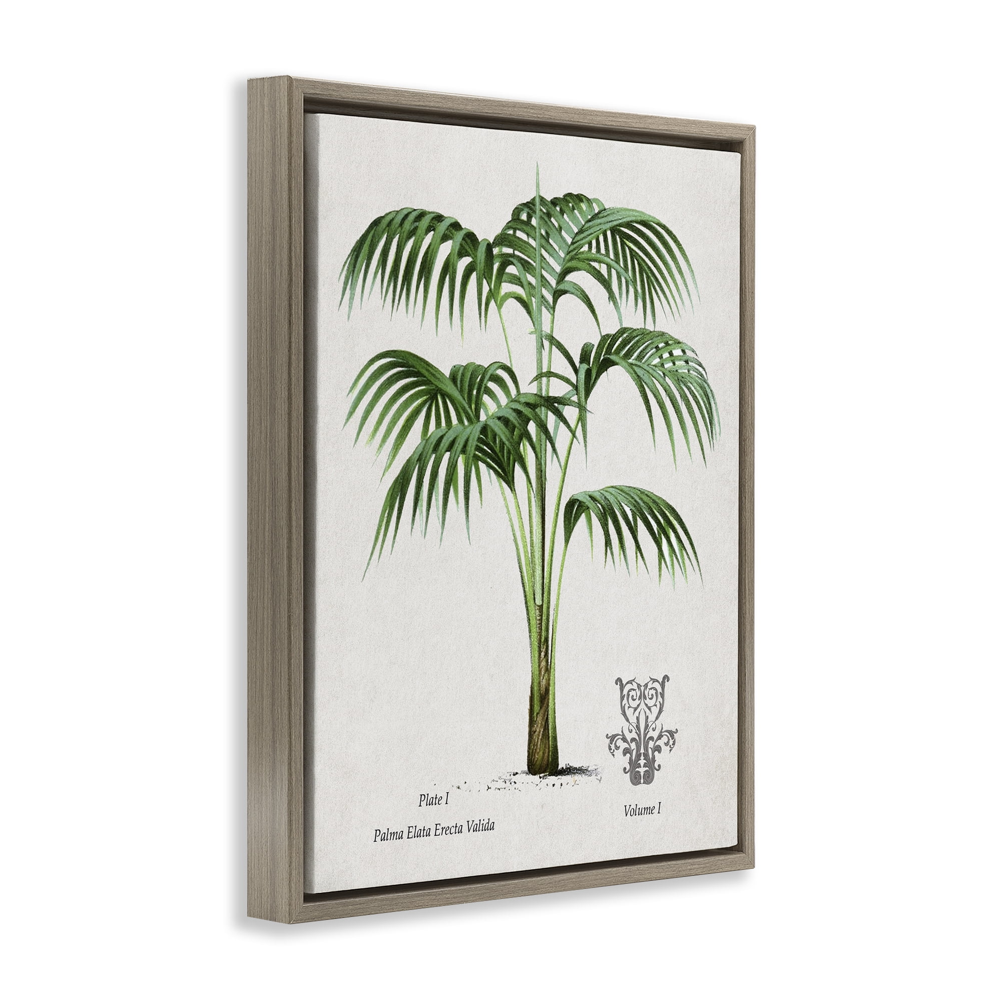 Stupell Industries Natural Palm Study Brown Framed Floater Canvas Wall Art, design by Val Rhodes