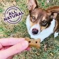 thumbnail image 3 of Wellness Old Mother Hubbard P-Nuttier Dog Biscuits, Natural, Training Treats, Peanut Butter Flavor, Mini Size, (6 Pound Box), 3 of 8