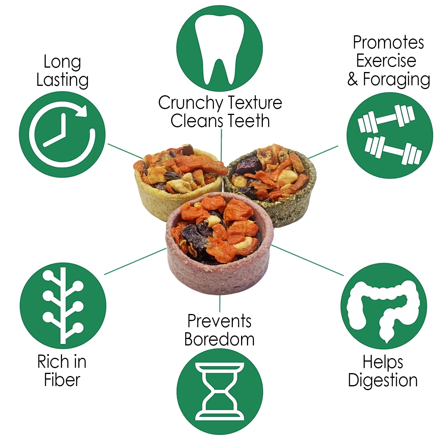 Exotic Nutrition Fruit & Veggie Tarts (12pk) - Delicious Healthy Treat for Guinea Pigs, Chinchillas, Rabbits, and Small Animals
