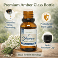 thumbnail image 5 of Yarrow Essential Oil – 100% Pure Achillea Millefolium Oil – Aromatherapy Oil for Diffuser, Soap Making, Candle Making –  15 ml (1/2 fl oz) Amber Glass Bottle w/ Euro Dropper – GreenHealt, 5 of 9