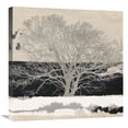 thumbnail image 1 of Global Gallery's 'Silver Tree (detail)' by Alessio Aprile Stretched Canvas Wall Art, 1 of 4