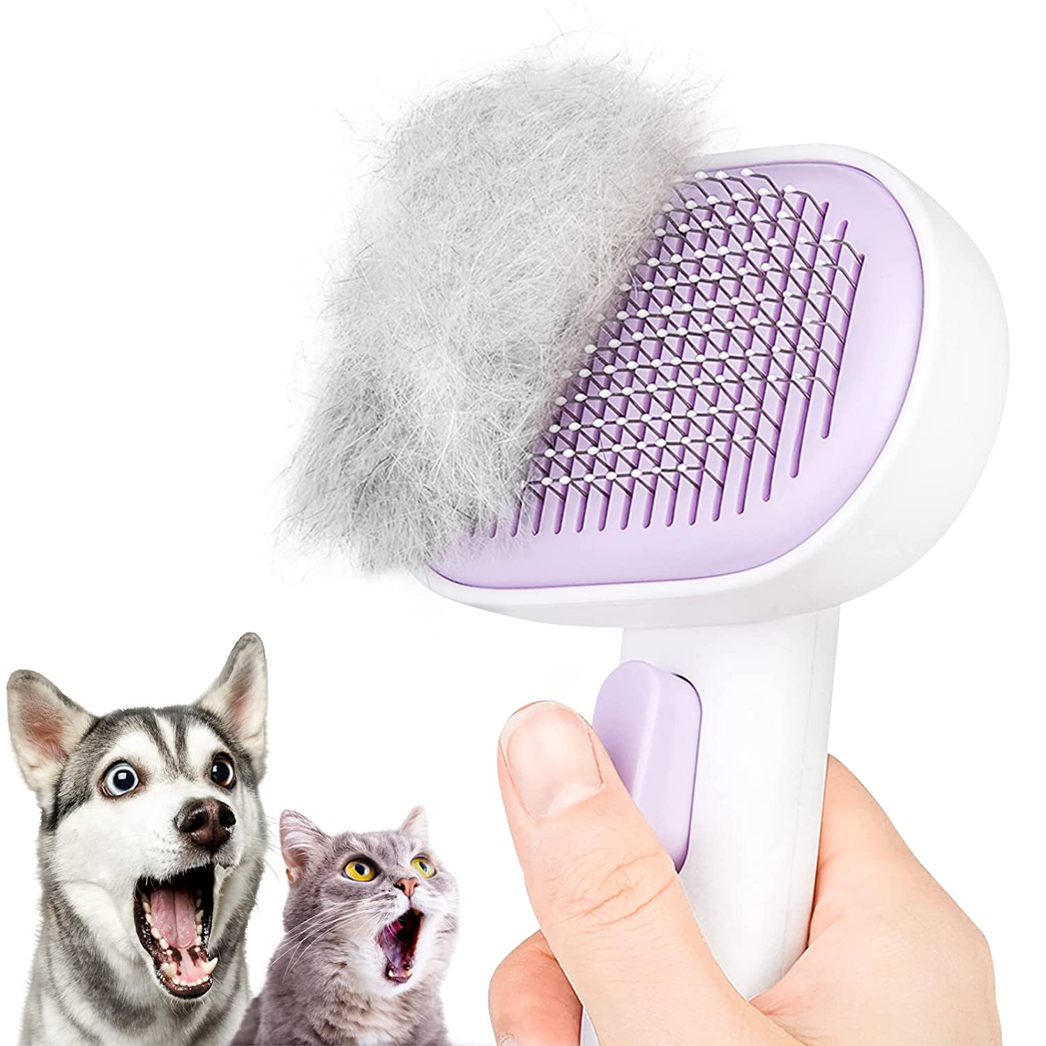 How Often Should You Brush A Short Haired Dog