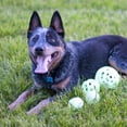 thumbnail image 2 of Juego de 4 bolas para perros Chew King Glowing Fetch Ball, 2 of 7