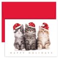 thumbnail image 1 of Masterpiece Holiday Collection 18-Count Christmas Cards, Christmas Kittens, 1 of 1
