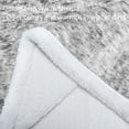 thumbnail image 2 of Tirrinia Snow Micro Fleece Sherpa Plush Bed Throw TV Blanket 50” x 60”, 2 of 7