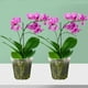 thumbnail image 2 of Macetas de plástico rígidas para orquídeas de interior, 9 unidades, 2 of 6