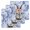 Blue, variant on Easter Bunny Kitchen Dish Towels for Drying Dishes Set of 2, Spring Flowers Green Leaves Pastoral Plants Waffle Weave Microfiber Hand Tea Bathroom Towels Quick Dry & Absorbent Towel 15.7x23.6