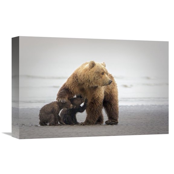 Global Gallery Renee Doyle,'Family Time' Stretched Canvas Artwork