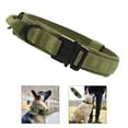 thumbnail image 4 of lionlar Nylon Adjustable with D- for Medium Large Dogs Green, 4 of 8