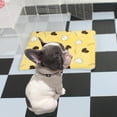 thumbnail image 3 of 2 Pcs Lit de Sommeil pour Chien et Chat Imprimé Duck Coussin Tapis Chaud pour Chenil, 3 of 10
