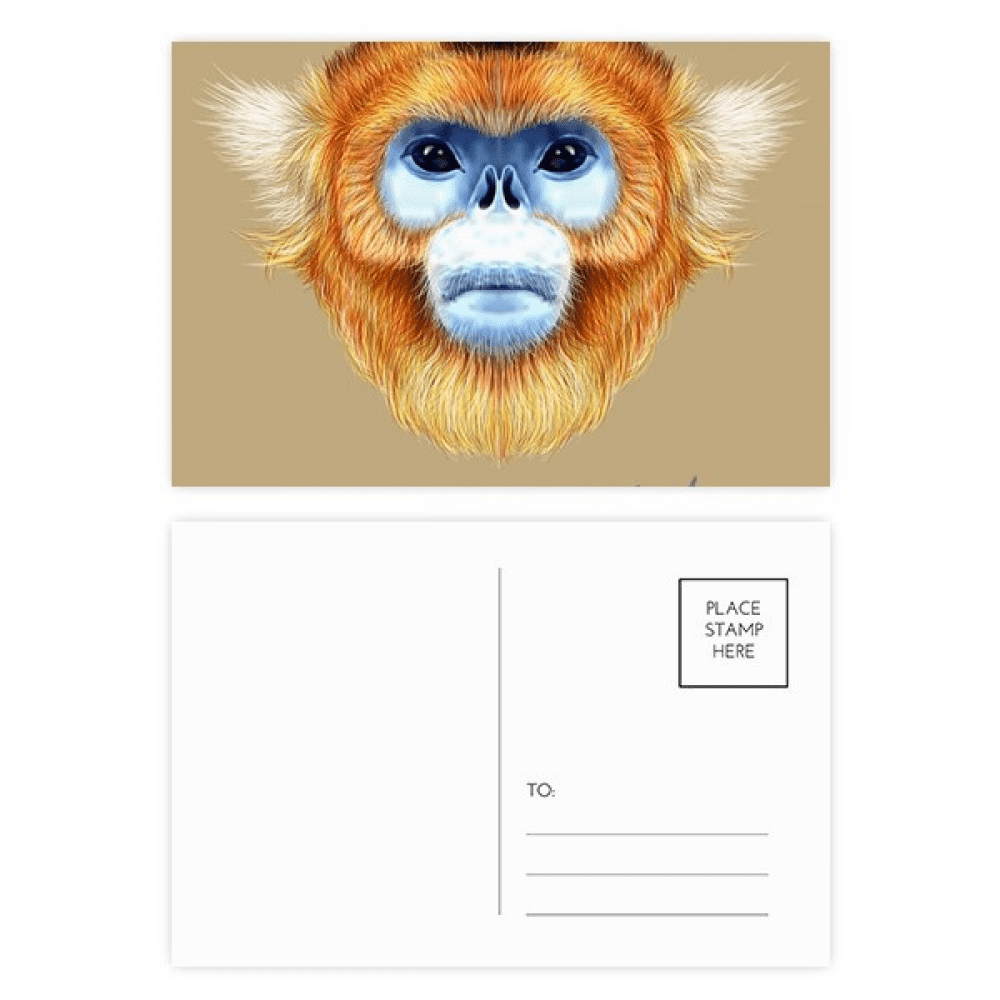 en snub-nosed monkey animal postcard set birthday mailing thanks greeting card