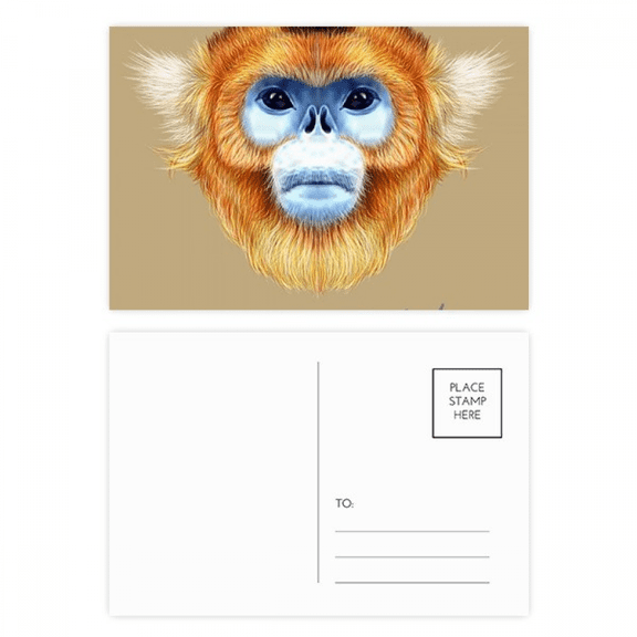en snub-nosed monkey animal postcard set birthday mailing thanks greeting card