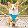 thumbnail image 3 of MoNiBloom No Pull Dog Harness, Pet Vest Adjustable Mesh Breathable Harnesses for Dogs Walking, Sky Blue M, 3 of 8