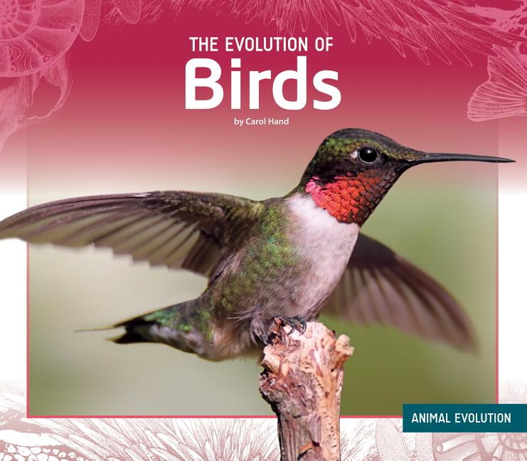 Animal Evolution: The Evolution of Birds (Hardcover) 