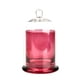 thumbnail image 2 of Candelabro de cúpula de vidrio cloche con asa en la parte superior, cúpula de campana de vidrio con base para Rosa roja, 2 of 9