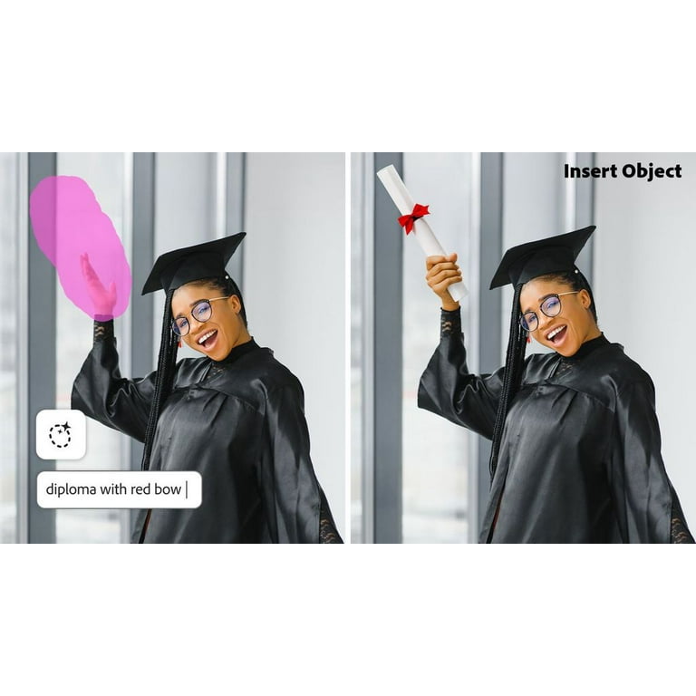 Adobe Photoshop Elements & Premiere Elements 2026 - Student
