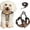 Brown, variant on Levviye Dog Harness and Leash Reflective Breathable Set - Adjustable Vest Style for Walking, Blue L