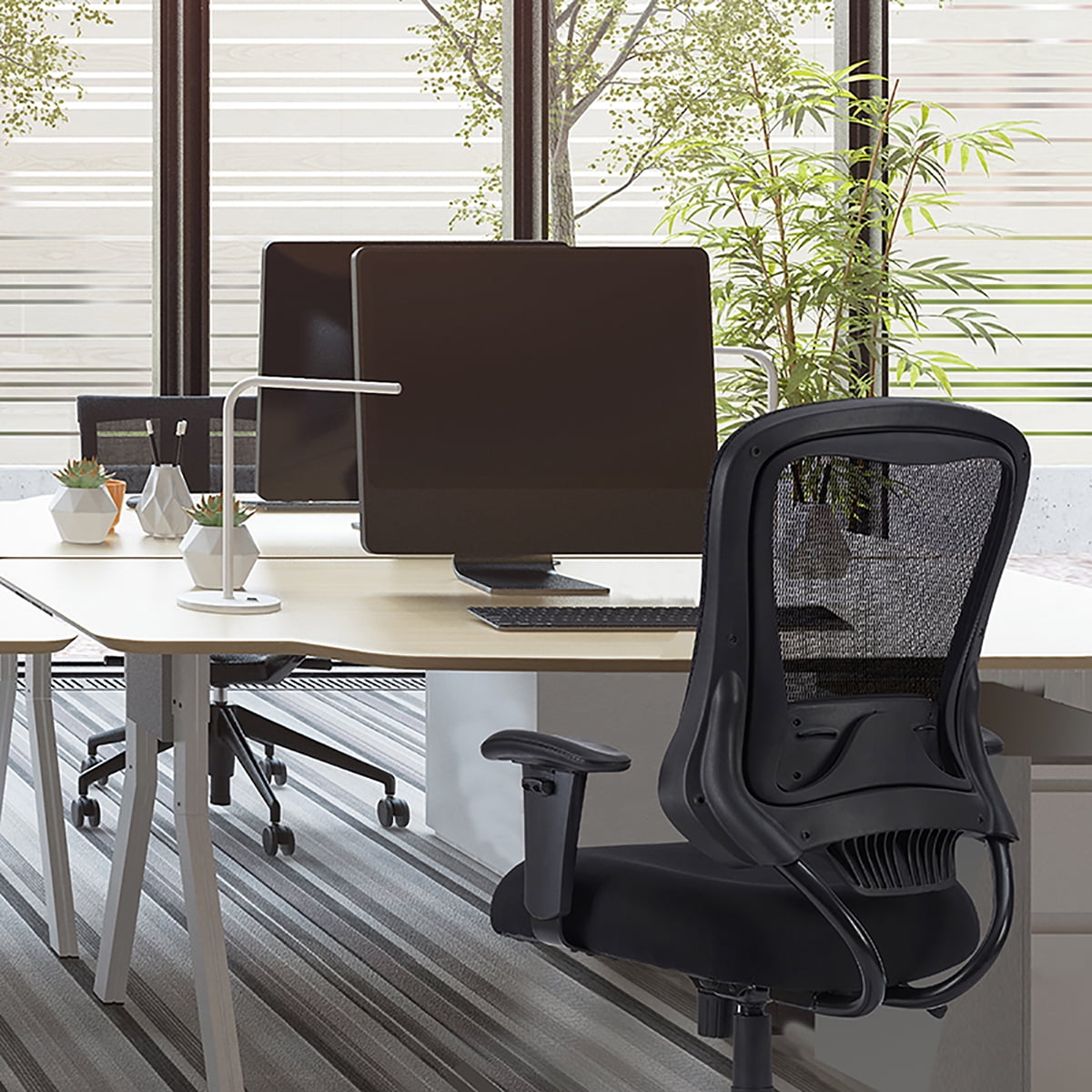 Furniture of America Lulo 24 in Executive Chair with Adjustable Back & Lumbar Support, 350 lb. Capacity, Black